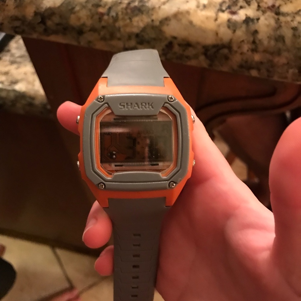 large shark watch!